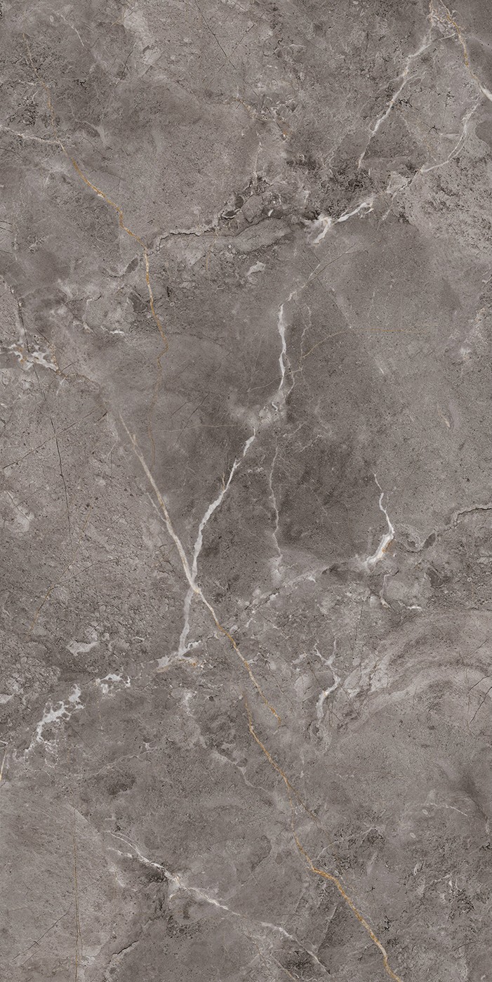 QPX612667网版正面 (1)